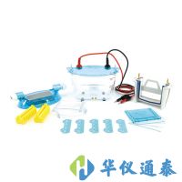 北京六一 DYCZ-24K、DYCZ-24KS型雙板垂直電泳儀