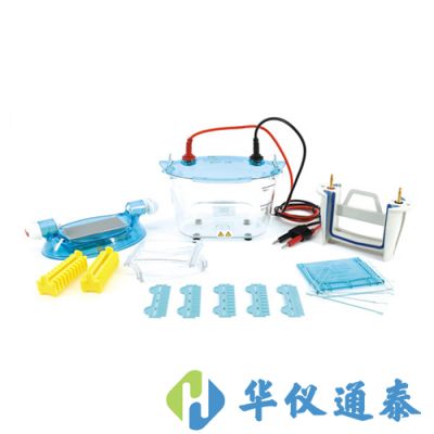 北京六一 DYCZ-24K、DYCZ-24KS型雙板垂直電泳儀