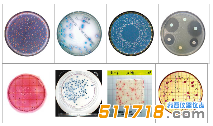 法國(guó)interscience Scan 1200自動(dòng)菌落計(jì)數(shù)器1.png