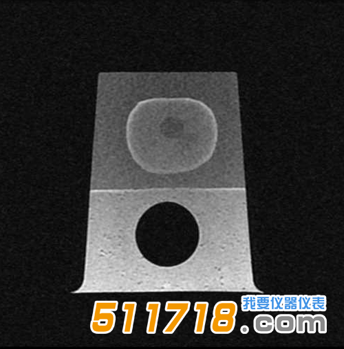 美國(guó)CIRS 053S 053L 053L-EF前列腺M(fèi)RI測(cè)試體模5.png